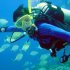 Diving