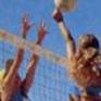 Pallavolo